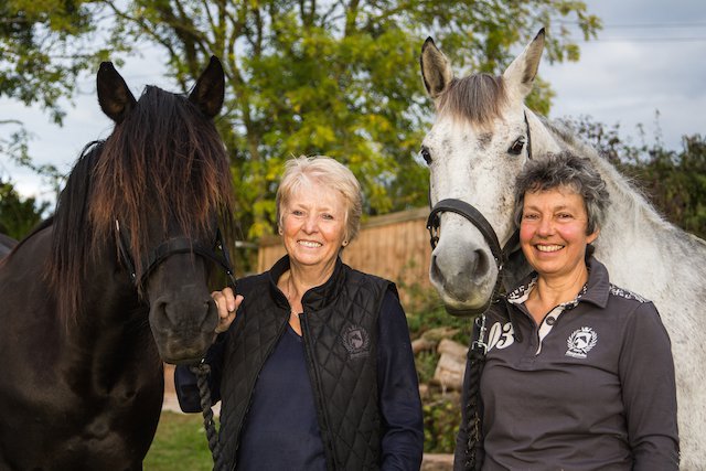 Andalucian Horses come to Devon