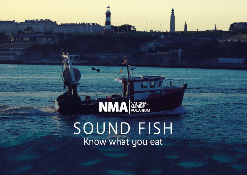 Sound Fish guide
