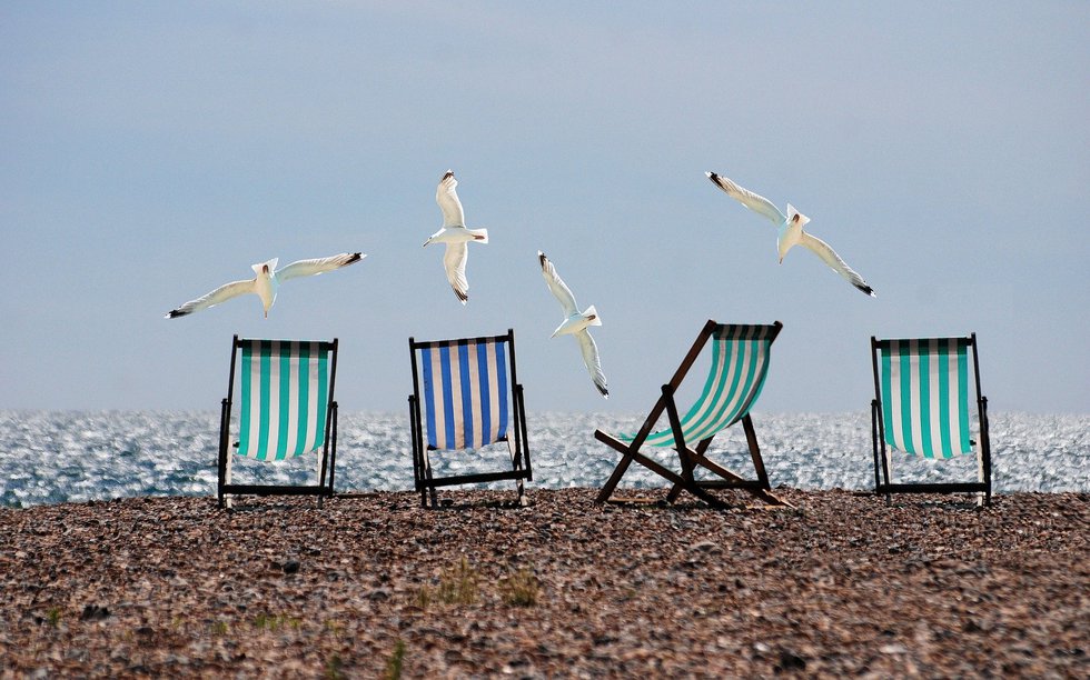 Deckchairs and seagulls on the beach