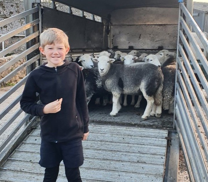 Tom with his Herdwick sheep