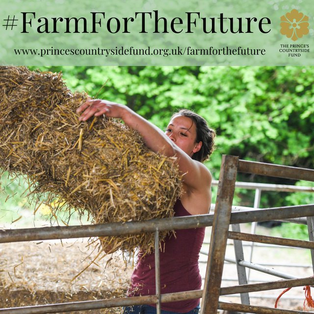 PCF Farm for the Future