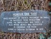 Honour Oak - Whitchurch (2) P1020729.jpg